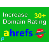 FLASH SALE !!! jasa menaikkan Domain Rating (DR) ahrefs hingga 30 +
