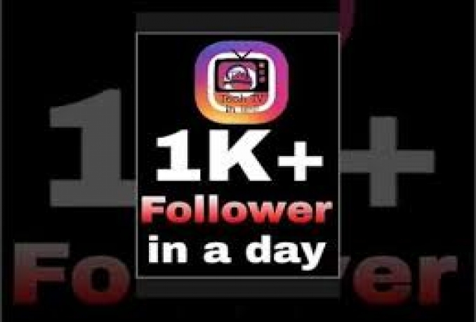 follower ig