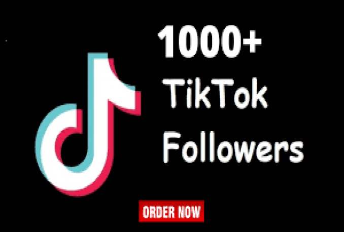 follower tiktok bergaransi 30 hari