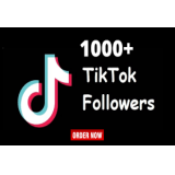 follower tiktok bergaransi 30 hari
