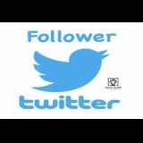 follower twitter murah PROMO
