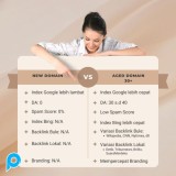 High Quality Aged Domain dengan DA PA 30 up to 40