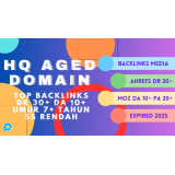 High Quality Aged Domain TOP Backlinks DR 30+ DA 10+ SS Rendah