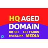 HQ Aged Domain DR+ DA PA (HQ Backlinks)