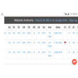 Jasa Backlink Murah Berkualitas DA 40+