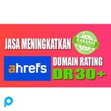 jasa backlink untuk meningkatkan Domain Rating (DR) AHREFS hingga 30+