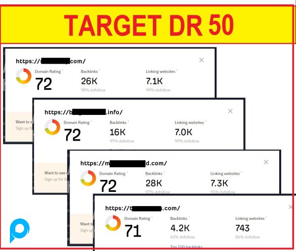 Jasa Menaikkan Domain Rating DR 0 Ke DR30