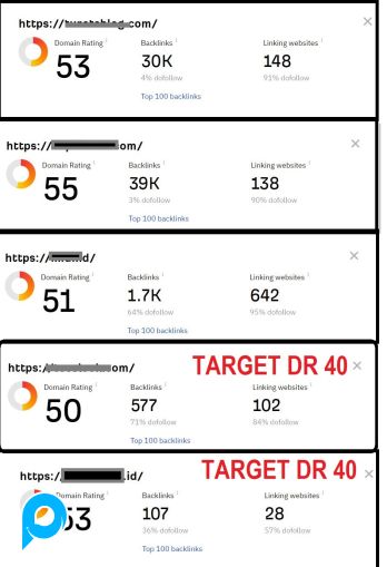 Jasa Menaikkan Domain Rating DR 0 Ke DR40
