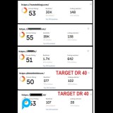 Jasa Menaikkan Domain Rating DR 0 Ke DR40