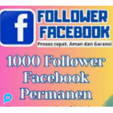 jasa meningkatkan follower facebook untuk cuan di fb pro