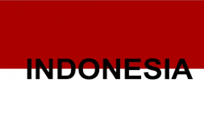 jasa traffic website indonesia