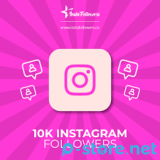jual followers instagram permanen
