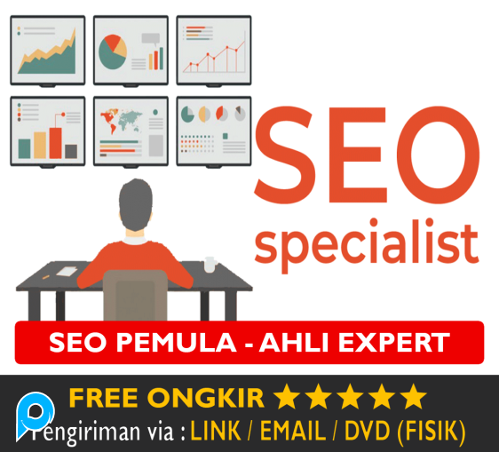 Kelas Tutorial SEO dari Tingkat Basic Pemula Hingga Tingkat Expert Ahli Search Engine Optimized