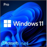 Lisensi Windows 11 Pro Original Permanen