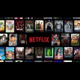 Netflix Premium 1 Bulan 1 Profile 1 User