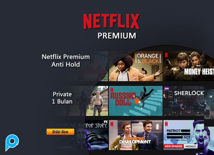Netflix Premium Anti Limit