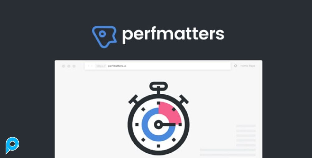 Perfmatters - WordPress Performance Plugin - Wordpress Plugin