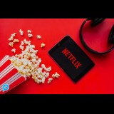 Private Akun Netflix Premium 1 Bulan
