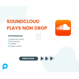 PROMO 1000 SOUNDCLOUD PLAYS