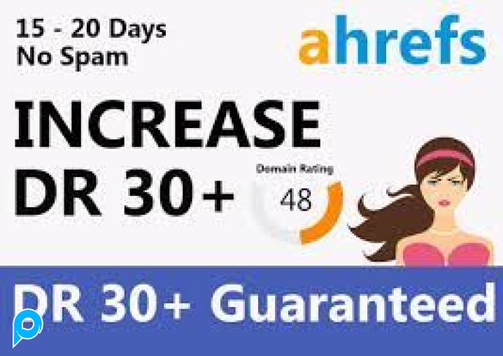PROMO jasa menaikkan Domain Rating (DR) ahrefs hingga 30 +