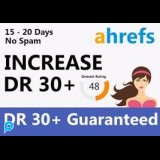 PROMO jasa menaikkan Domain Rating (DR) ahrefs hingga 30 +
