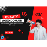 Quality Aged Domain - Solusi Terbaik untuk PBN dan Money Site Anda