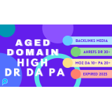 Ready Aged Domain High DR DA PA
