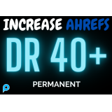 READY DR 40+ peringkat domain ahrefs untuk peringkat seo + bonus + PERMANENT