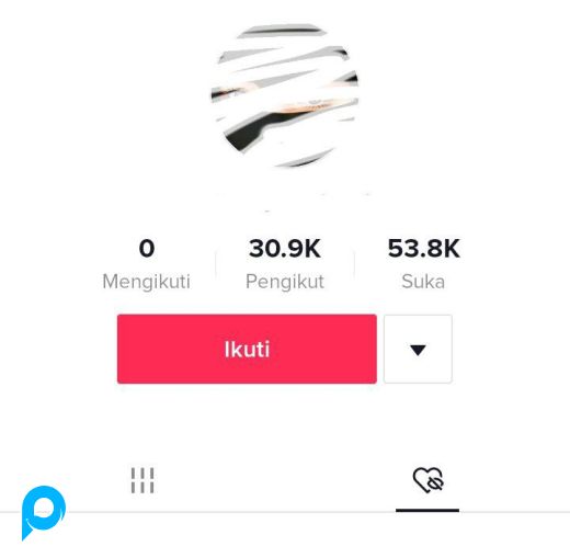 READY STOCK! Akun Tiktok 30K++ / 30.000++ Followers BISA DAPAT LEBIH hasil FYP Real Followers Indo, 