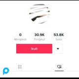 READY STOCK! Akun Tiktok 30K++ / 30.000++ Followers BISA DAPAT LEBIH hasil FYP Real Followers Indo, 
