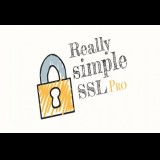 [Really Simple SSL Pro] Pastikan Website Aman Proteksi SSL