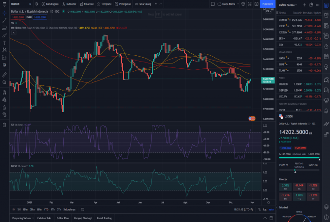 TRADINGVIEW PRIVATE PREMIUM 30HARI