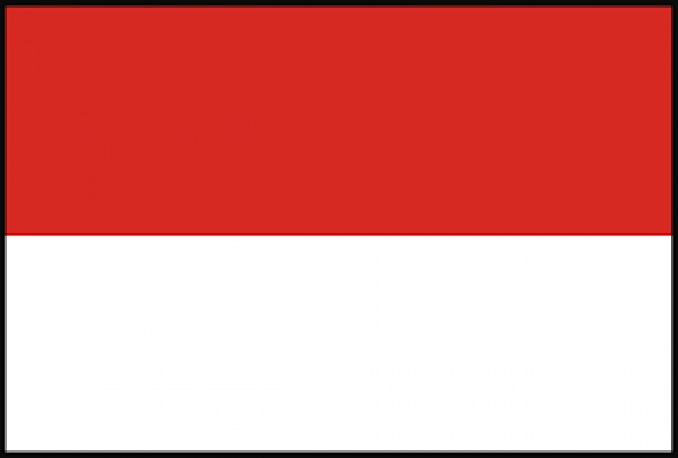 visitor tertarget indonesia traffik website atau blog