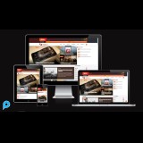 Website Aged Bekas Domai Ekspired Beserta Google Adsense dan Kelengkapnya