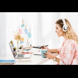 Website Aged Bervisitor Tinggi Beserta Subdomainya