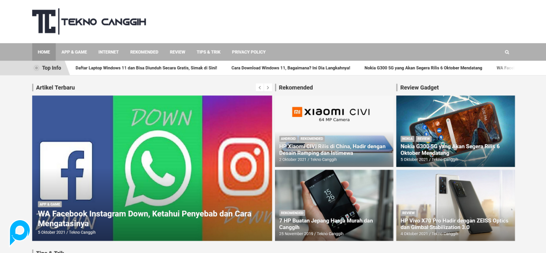 Website WordPress + Domain