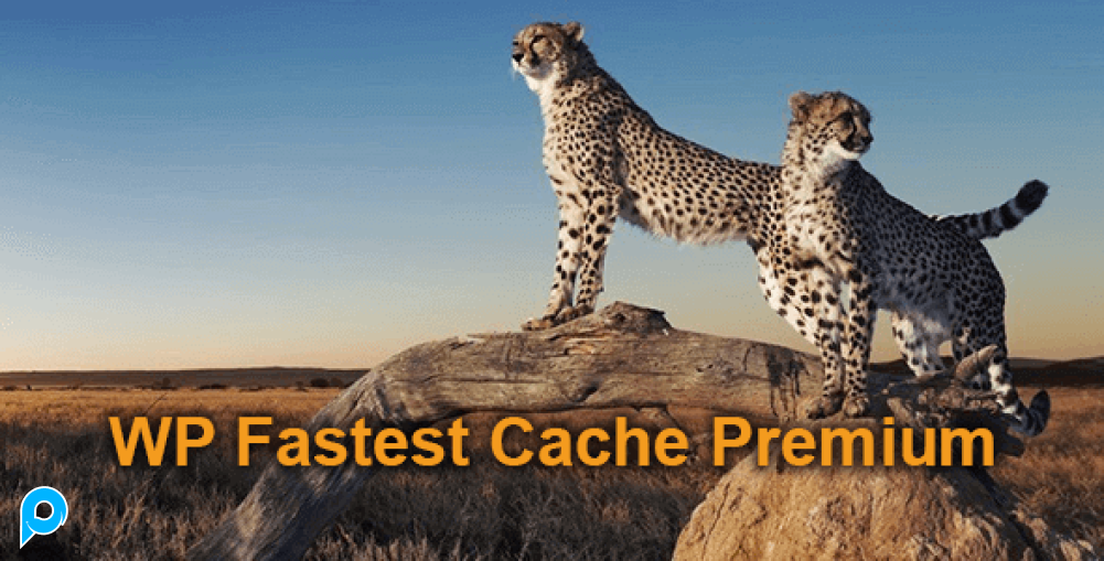WP Fastest Cache Premium – Fastest Cache - Wordpress Plugin