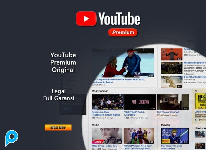YouTube Premium 3 Bulan Bergaransi